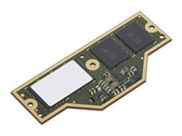 Lenovo - LPDDR5X - modul - 64 GB - CAMM - 7500 MHz - grønn - for ThinkPad P1 Gen 7 21KV, 21KW 4X71Q25457