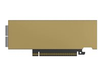 NVIDIA ConnectX-8 C8240 - Nettverksadapter - PCIe 6.0 x16 - 400Gb Ethernet QSFP112 x 2 900-9X81Q-00CN-ST0